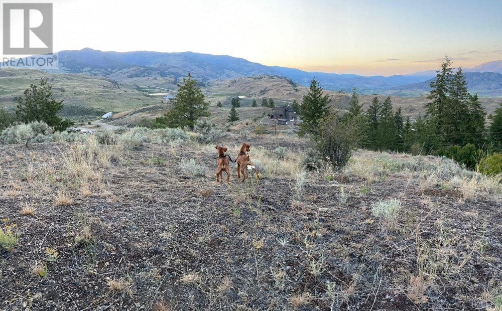 21043 Old Ritcher Passage Road Osoyoos Photo 9